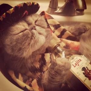 Meet your Posher, Jarred